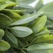 Искусственная ветка Engard "Schefflera", 65 cм (AV-02) AV-02 фото 6
