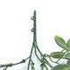 Искусственная ветка Engard "Schefflera", 65 cм (AV-02) AV-02 фото 3