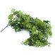 Искусственная ветка Engard "Eucalyptus", 65 см (AV-03) AV-03 фото 8