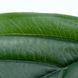 Искуственный лист Engard Monstera, 56см (TW-48) TW-48 фото 5