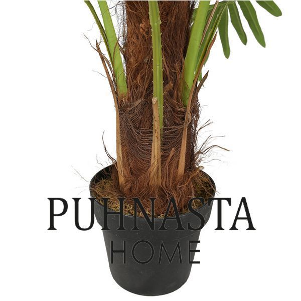 Штучна рослина Engard Fan Palm, 120 см (DW-27) DW-27 фото