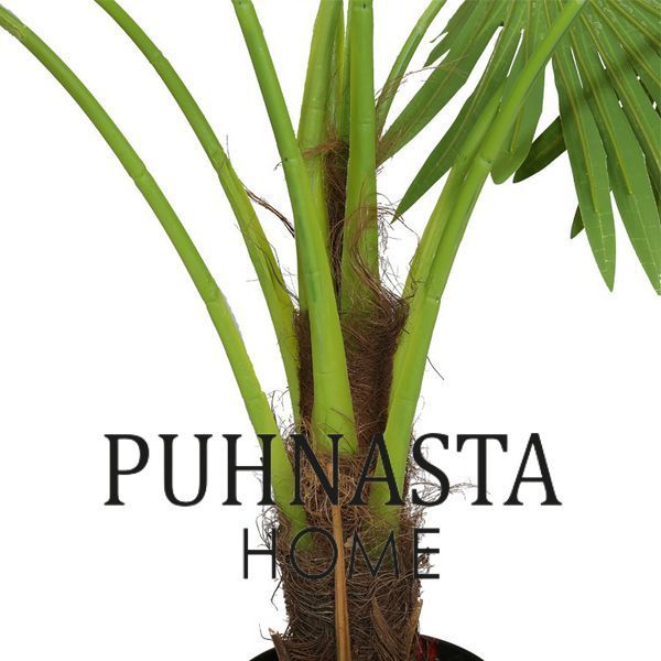 Штучна рослина Engard Fan Palm, 120 см (DW-27) DW-27 фото