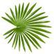 Штучна рослина Engard Fan Palm, 120 см (DW-27) DW-27 фото 6