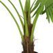 Штучна рослина Engard Fan Palm, 120 см (DW-27) DW-27 фото 3