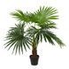 Штучна рослина Engard Fan Palm, 120 см (DW-27) DW-27 фото 1