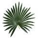 Штучна рослина Engard Fan Palm, 120 см (DW-27) DW-27 фото 5