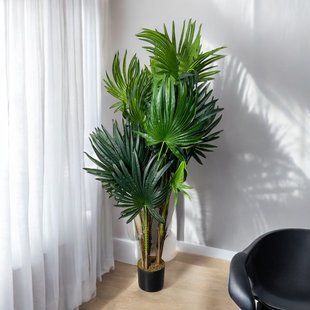 Штучна рослина Engard Cycas Palm, 150 см (DW-23) DW-23 фото