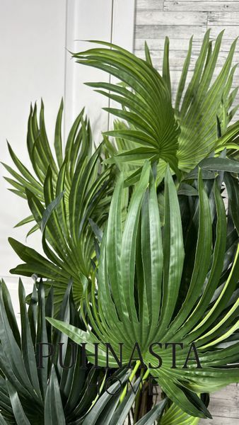 Штучна рослина Engard Cycas Palm, 150 см (DW-23) DW-23 фото