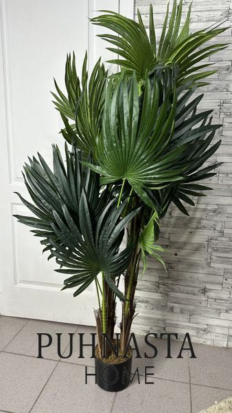 Штучна рослина Engard Cycas Palm, 150 см (DW-23) DW-23 фото
