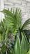 Штучна рослина Engard Cycas Palm, 150 см (DW-23) DW-23 фото 7