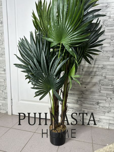 Штучна рослина Engard Cycas Palm, 150 см (DW-23) DW-23 фото