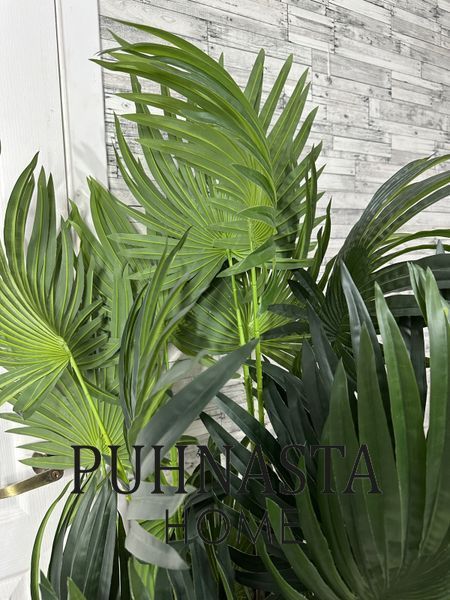 Штучна рослина Engard Cycas Palm, 150 см (DW-23) DW-23 фото