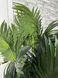 Штучна рослина Engard Cycas Palm, 150 см (DW-23) DW-23 фото 9