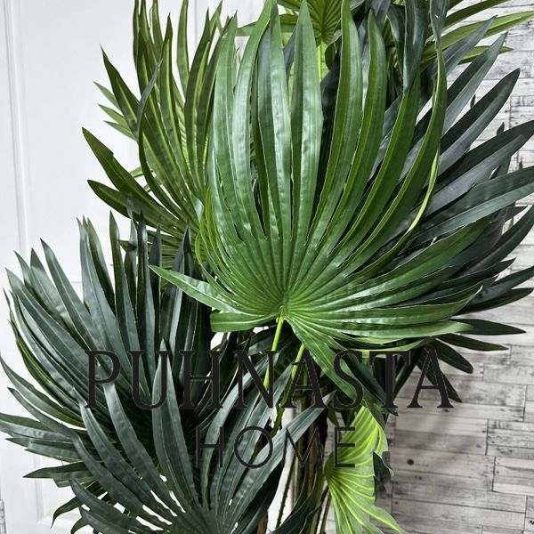 Штучна рослина Engard Cycas Palm, 150 см (DW-23) DW-23 фото