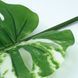 Искуственный лист Engard Monstera Alba, 73 см (TW-54) TW-54 фото 3