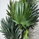 Штучна рослина Engard Cycas Palm, 150 см (DW-23) DW-23 фото 2
