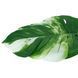 Искуственный лист Engard Monstera Alba, 78 см (TW-55) TW-55 фото 3