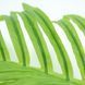 Искусственные листья Engard Hawaii Palm светлый, 70 см (DW-35) DW-35 фото 4