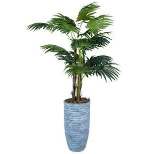 Штучна рослина Cycas Palm 150 см в кашпо (DW-2378-2) DW-2378-2 фото