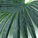 Искусственные листья Engard Fan Palm 98 см (DW-32) DW-32 фото 2